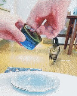 двойные стандарты