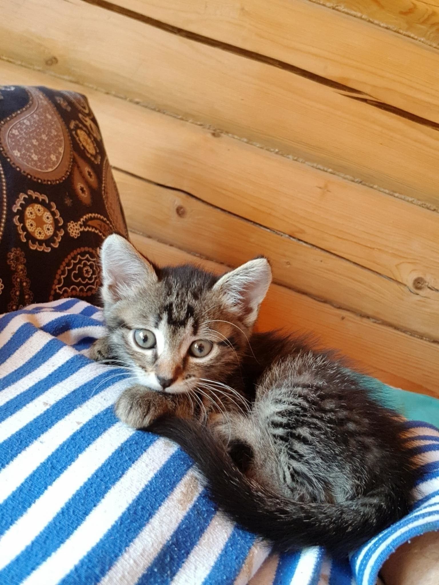 Неделя в новом доме