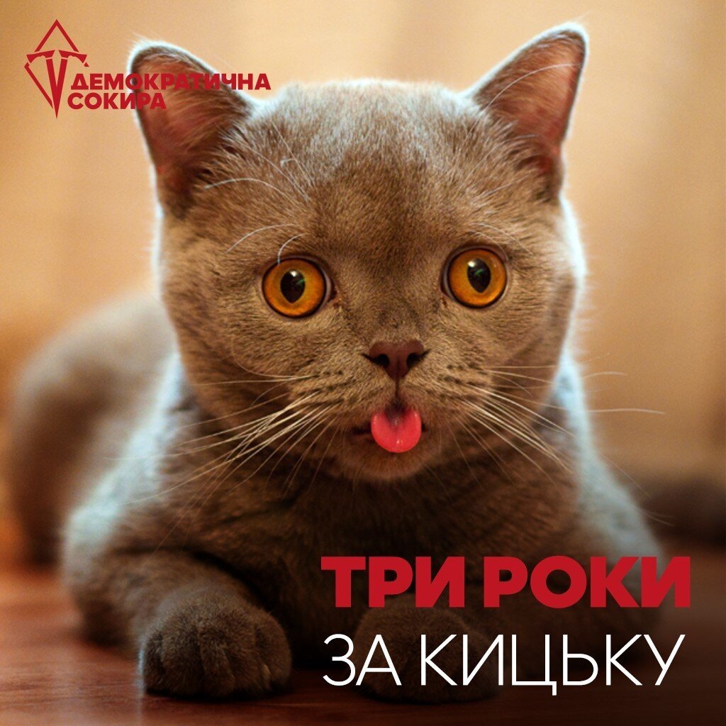 Готовы услышать по-настоящему трешовую историю?