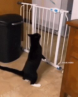 жизнь подсказывает простые решения
