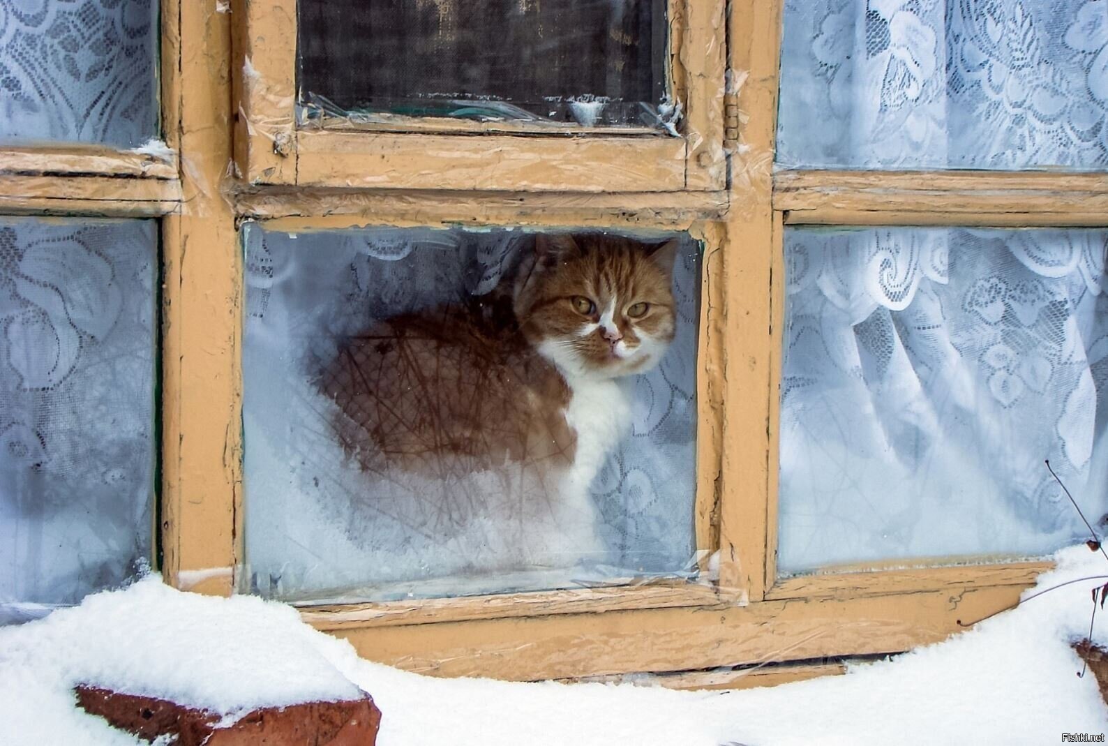 Солянка