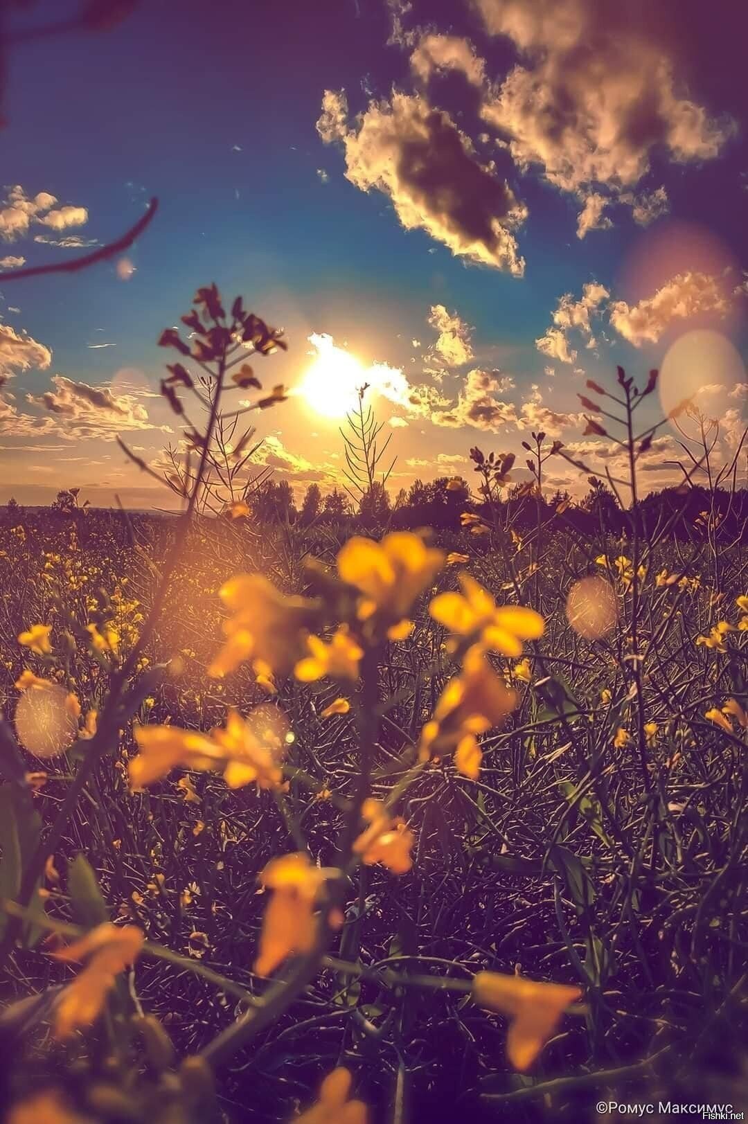 Доброе утро