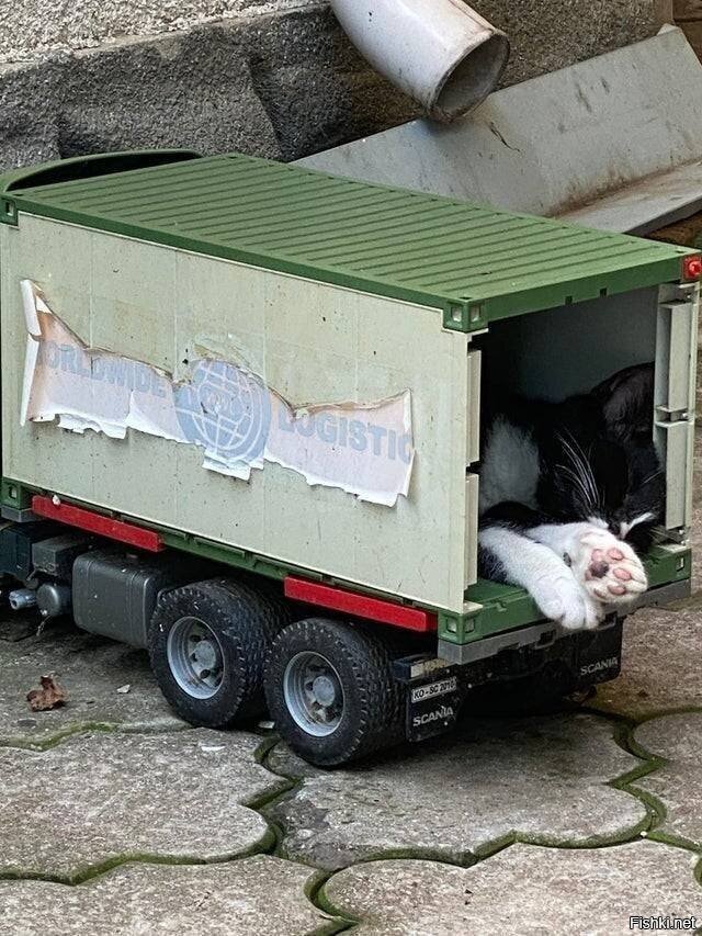 Солянка