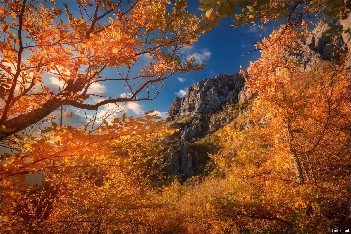 Демерджи