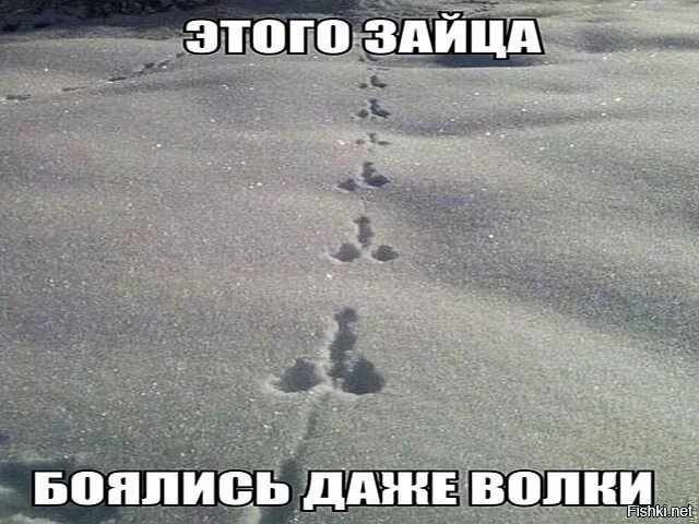 старенький баян