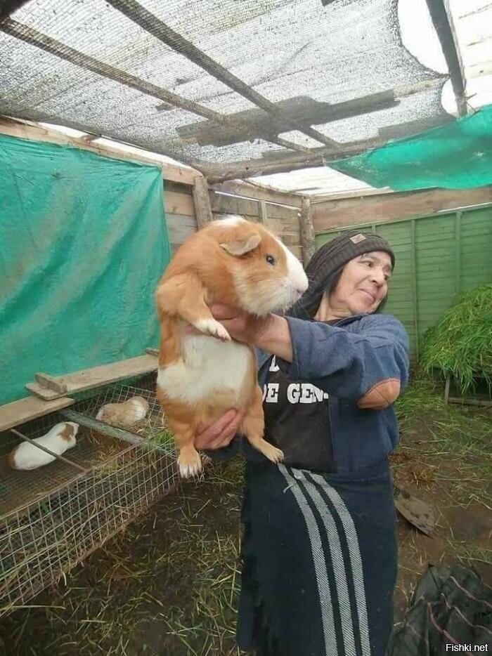 Солянка