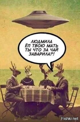 Солянка