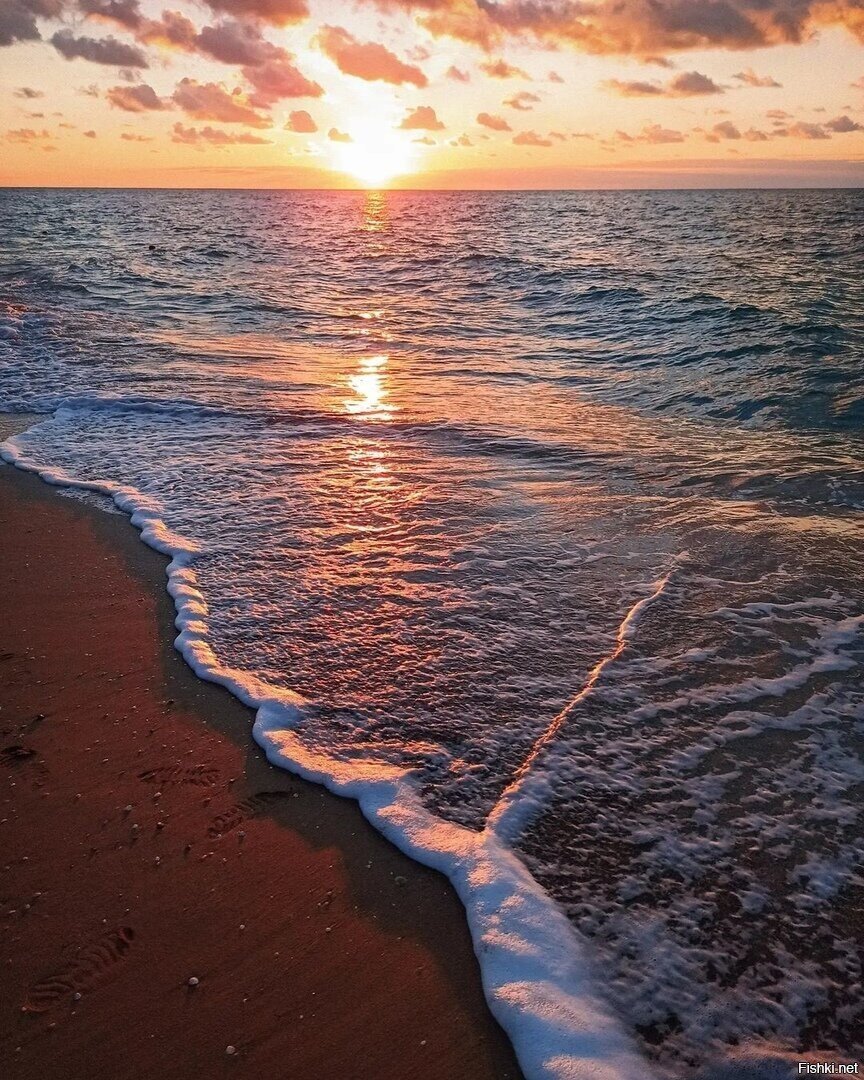 Азовское море