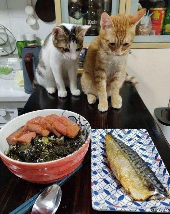 копчённое