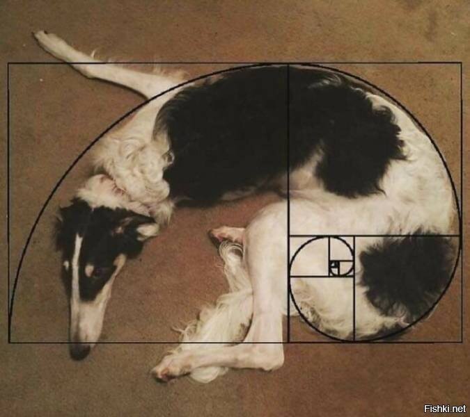 о