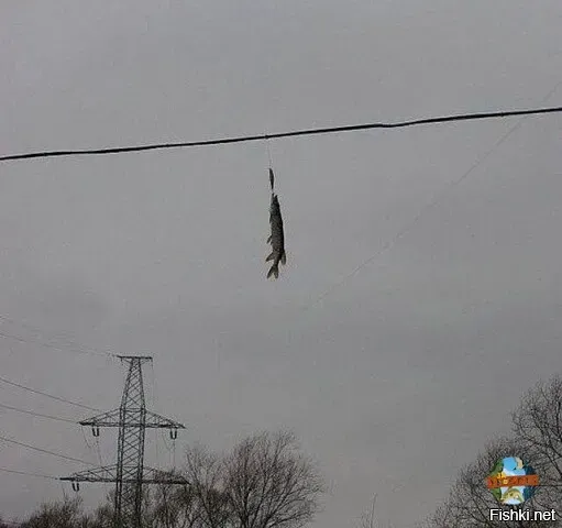 Подсёк))