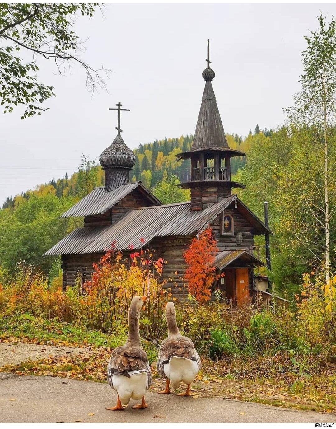 Солянка