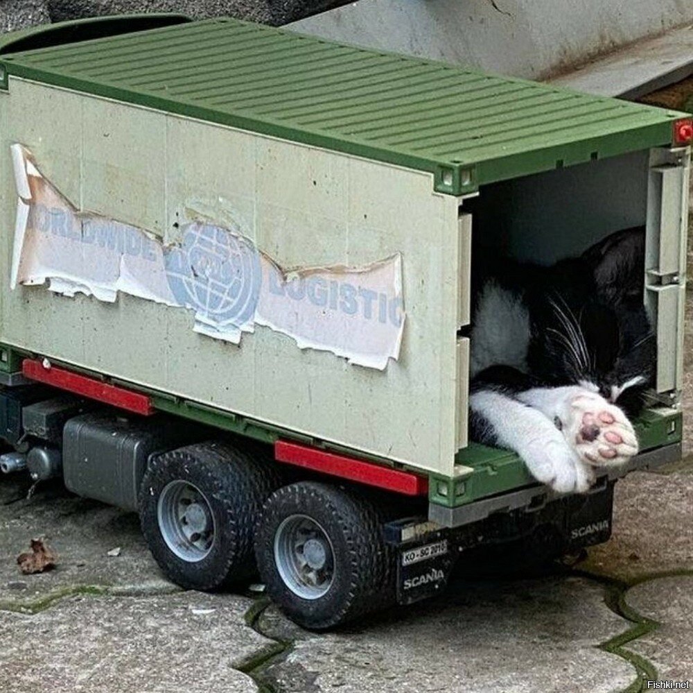 Солянка