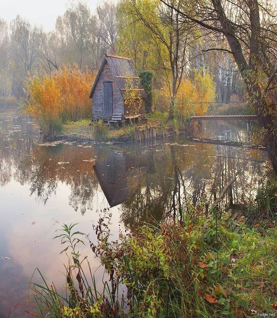 Солянка