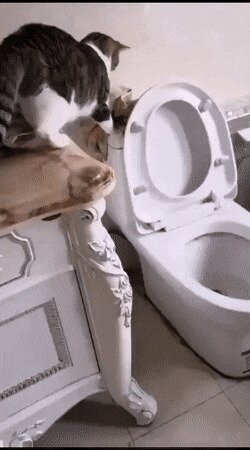 -фу мля, грязное