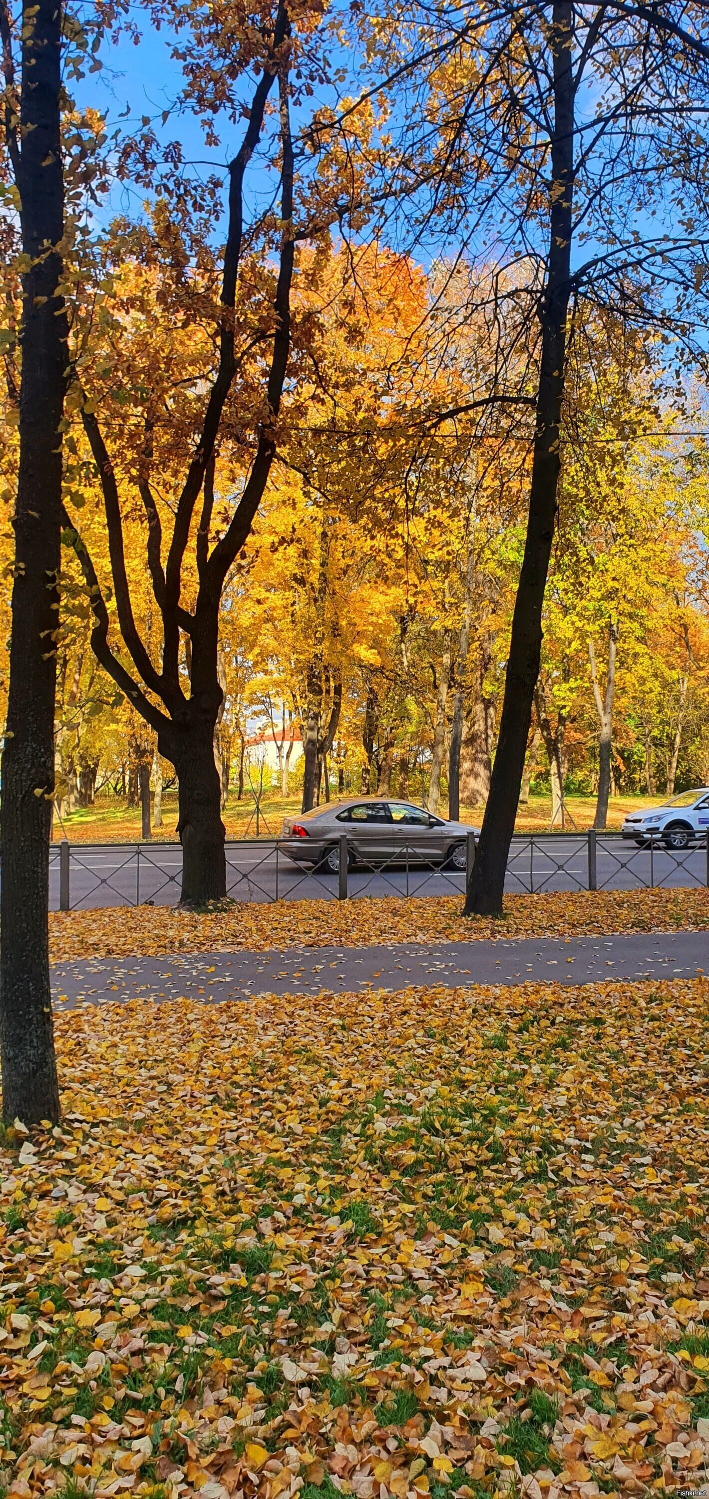 Золоьая осень