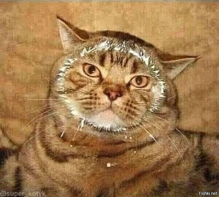 чё докопались со своей сметаной