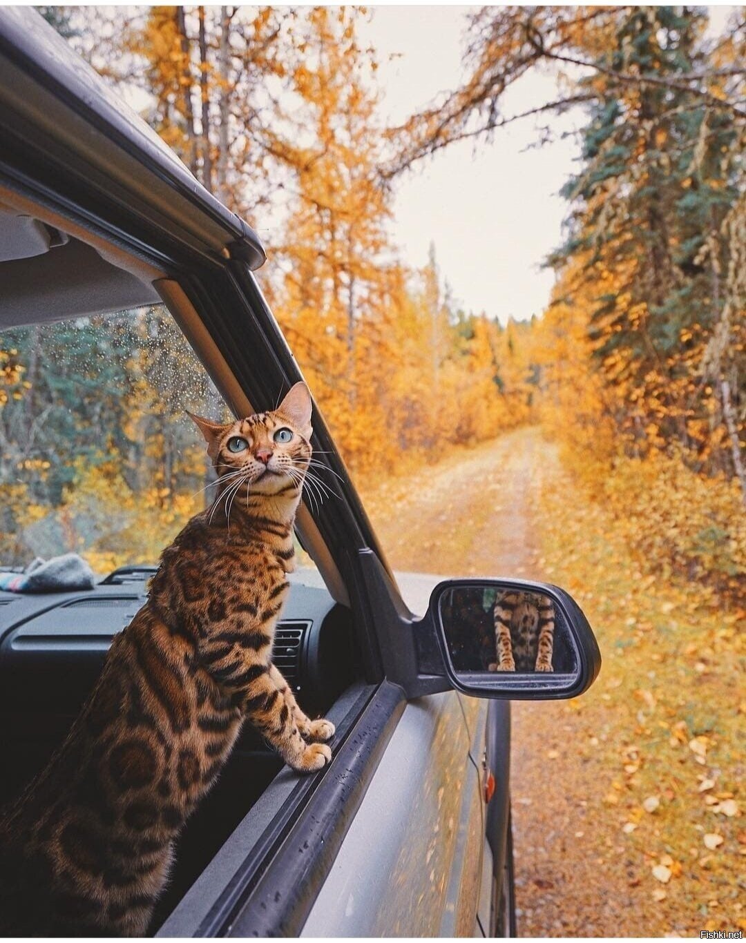 Доброе утро