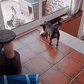 ушастый нянь
