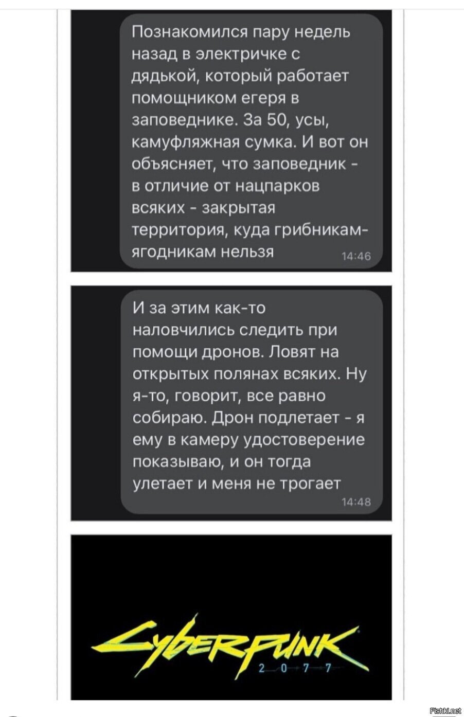Солянка