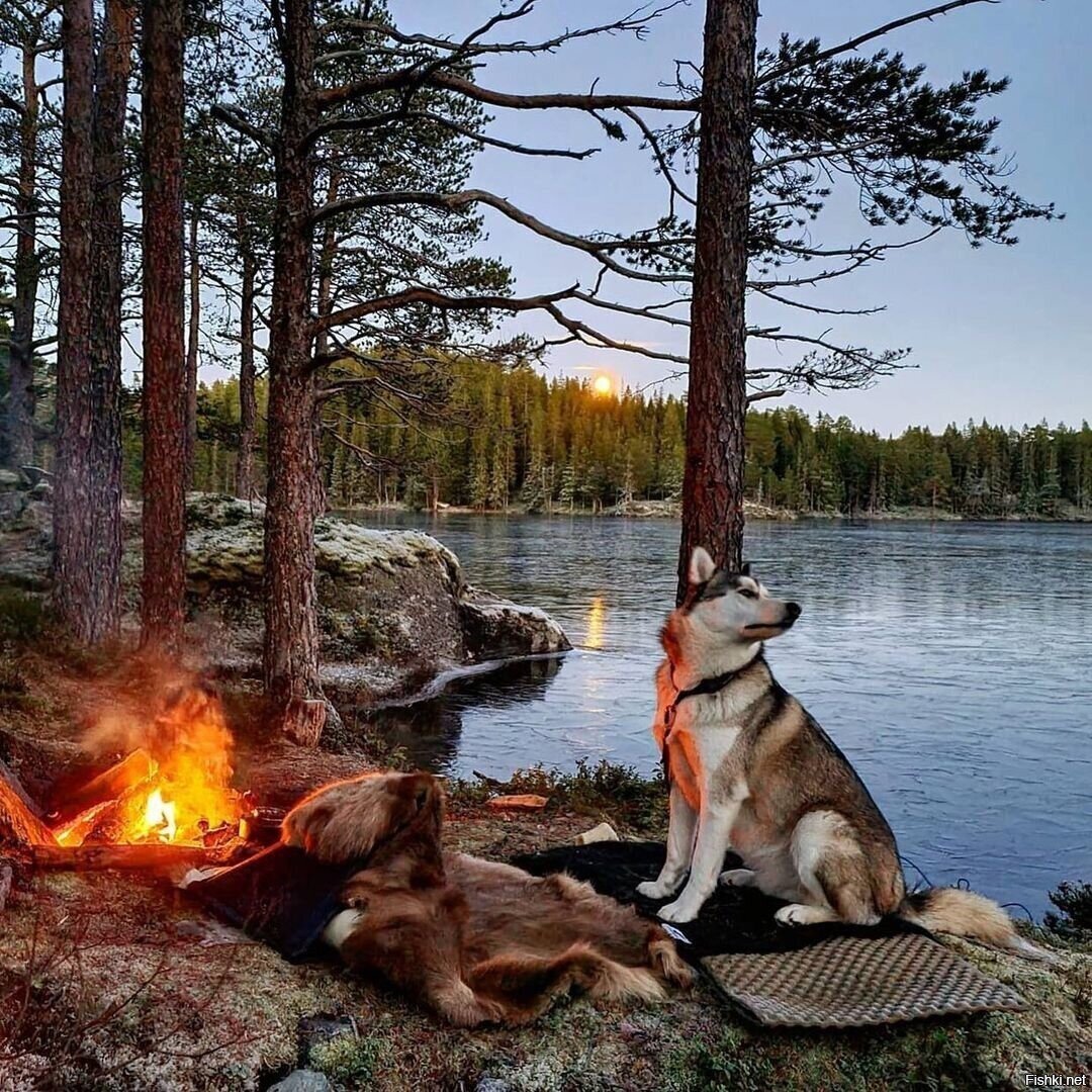 Солянка