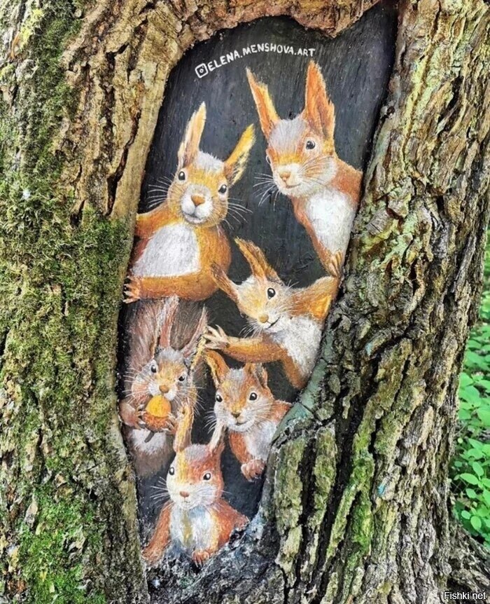 Солянка