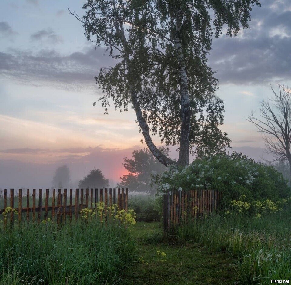 Солянка