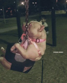 вечереет