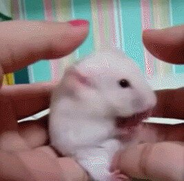 - Че, фоткаешь