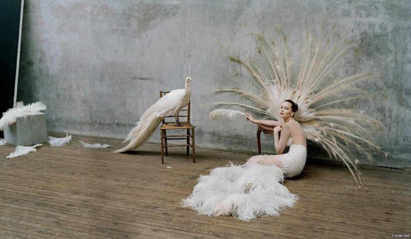 Английский фотограф Tim Walker (Тим Уокер)