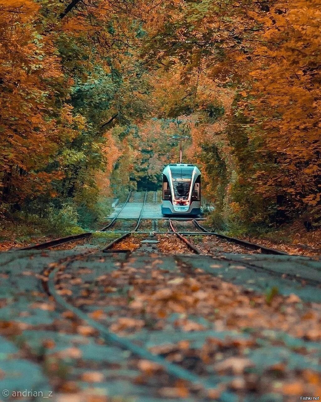 Солянка