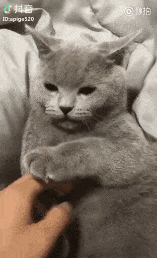 мотиватор
