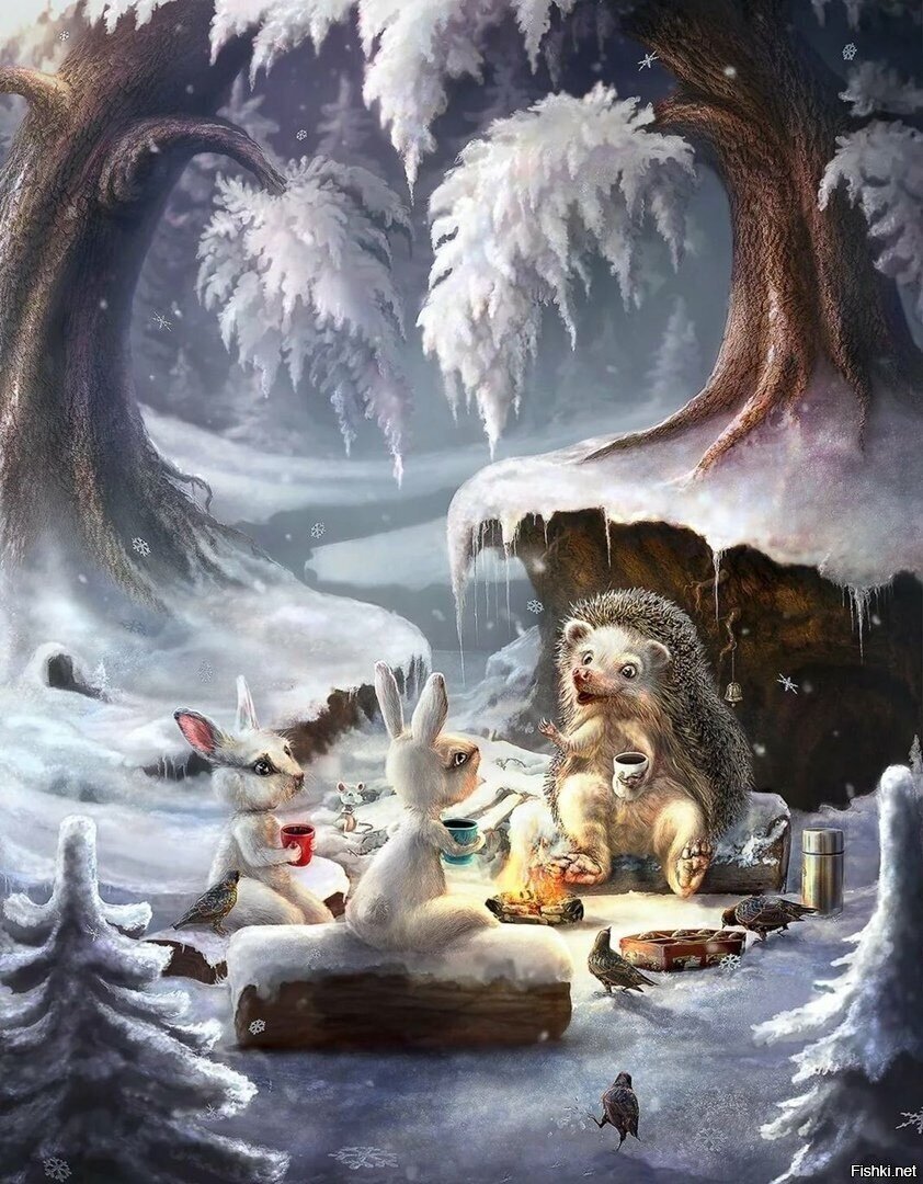 Солянка