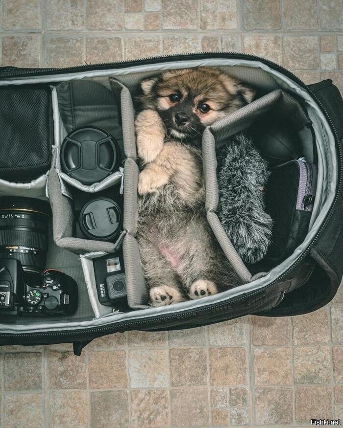 -Я не буду мешать
