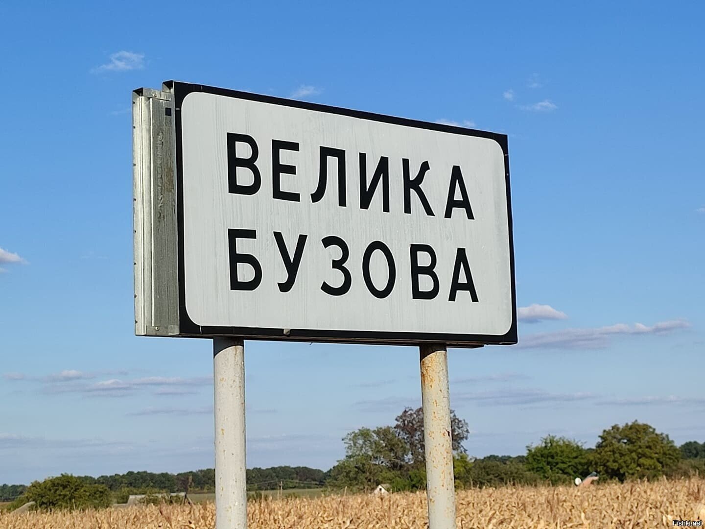 Бузова - все