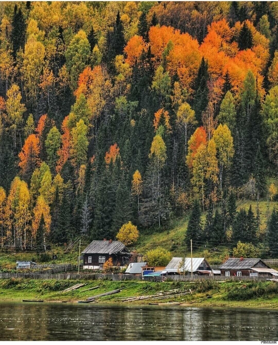 Солянка