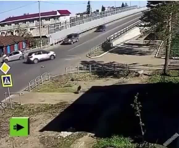 Смотрящие за дорогой