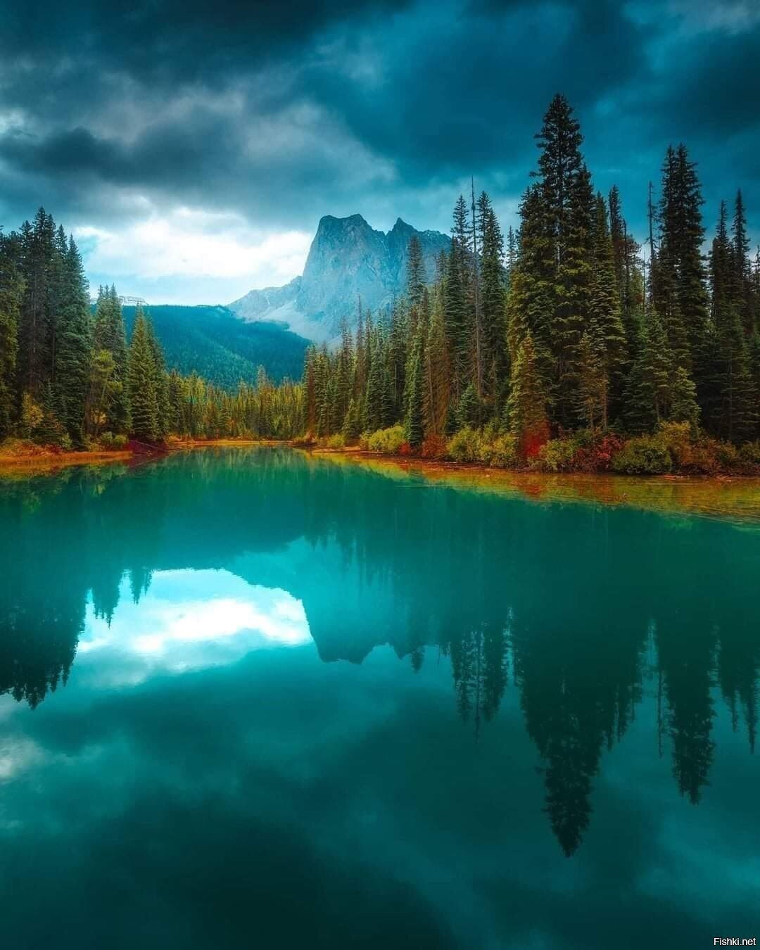 Солянка