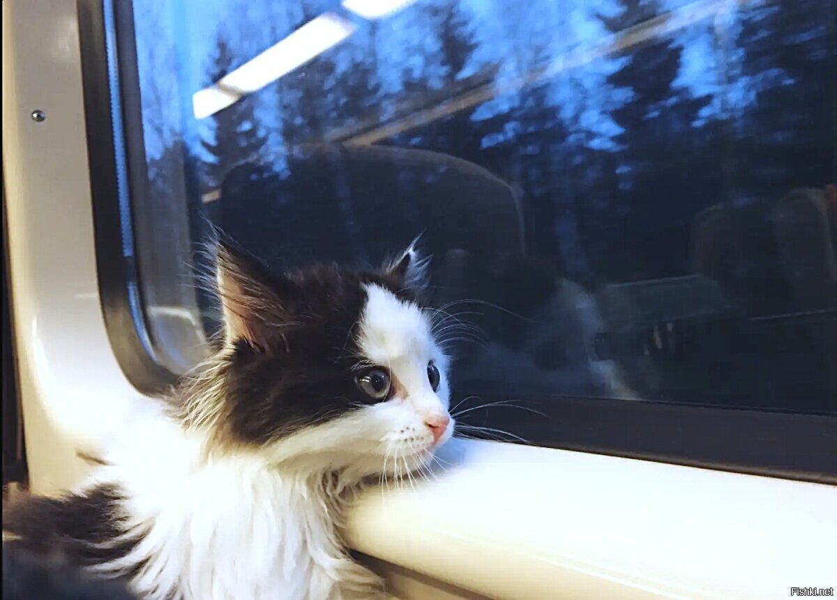 Ладно