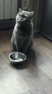 - Что тебе непонятно