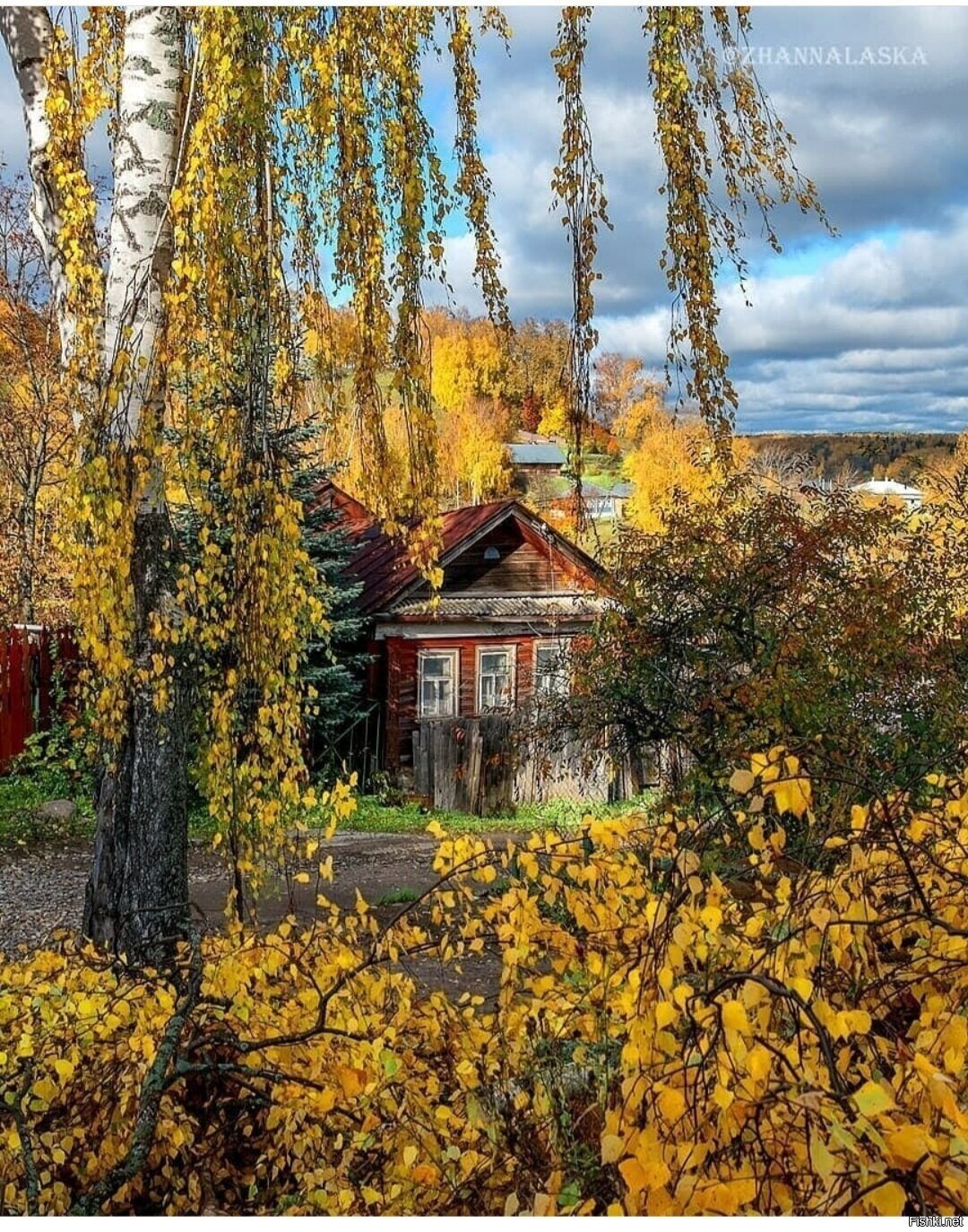 Солянка