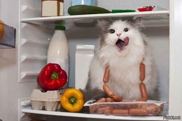 Солянка
