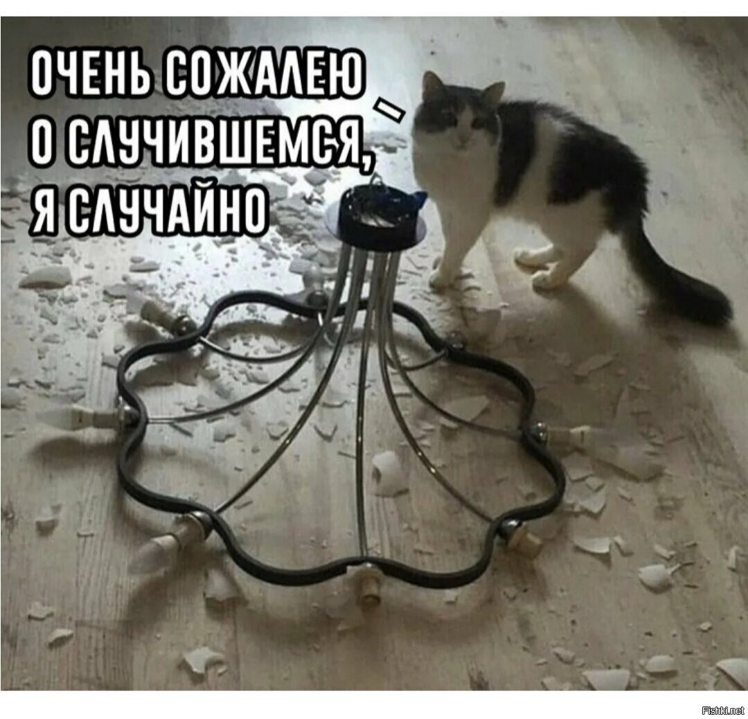 Доброе утро