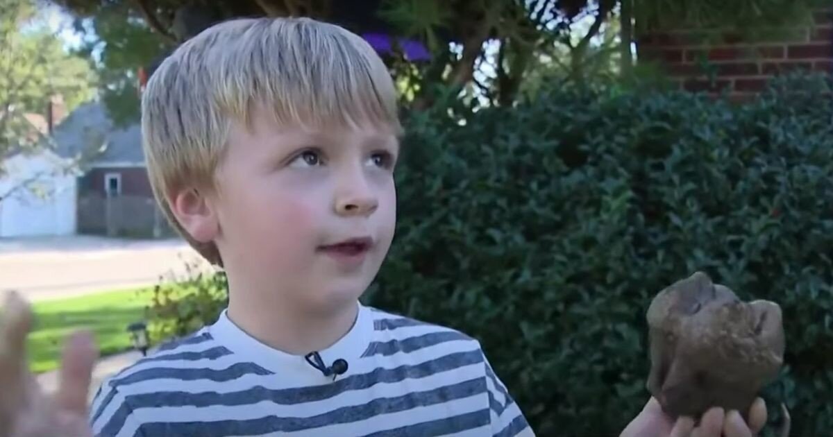 6-летний мальчик нашел гигантский зуб мастодонта: находке около 12&nbsp;000 лет