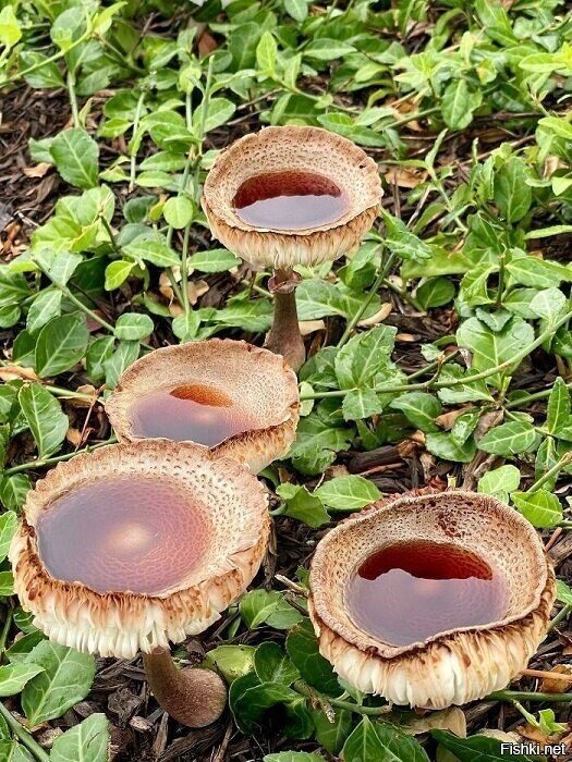 удобно