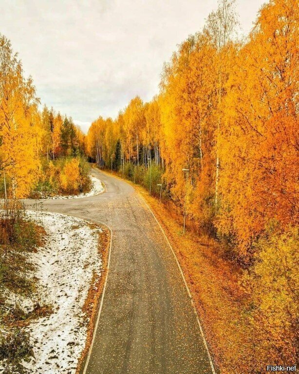 Ну вот уже и четверг, доброутро