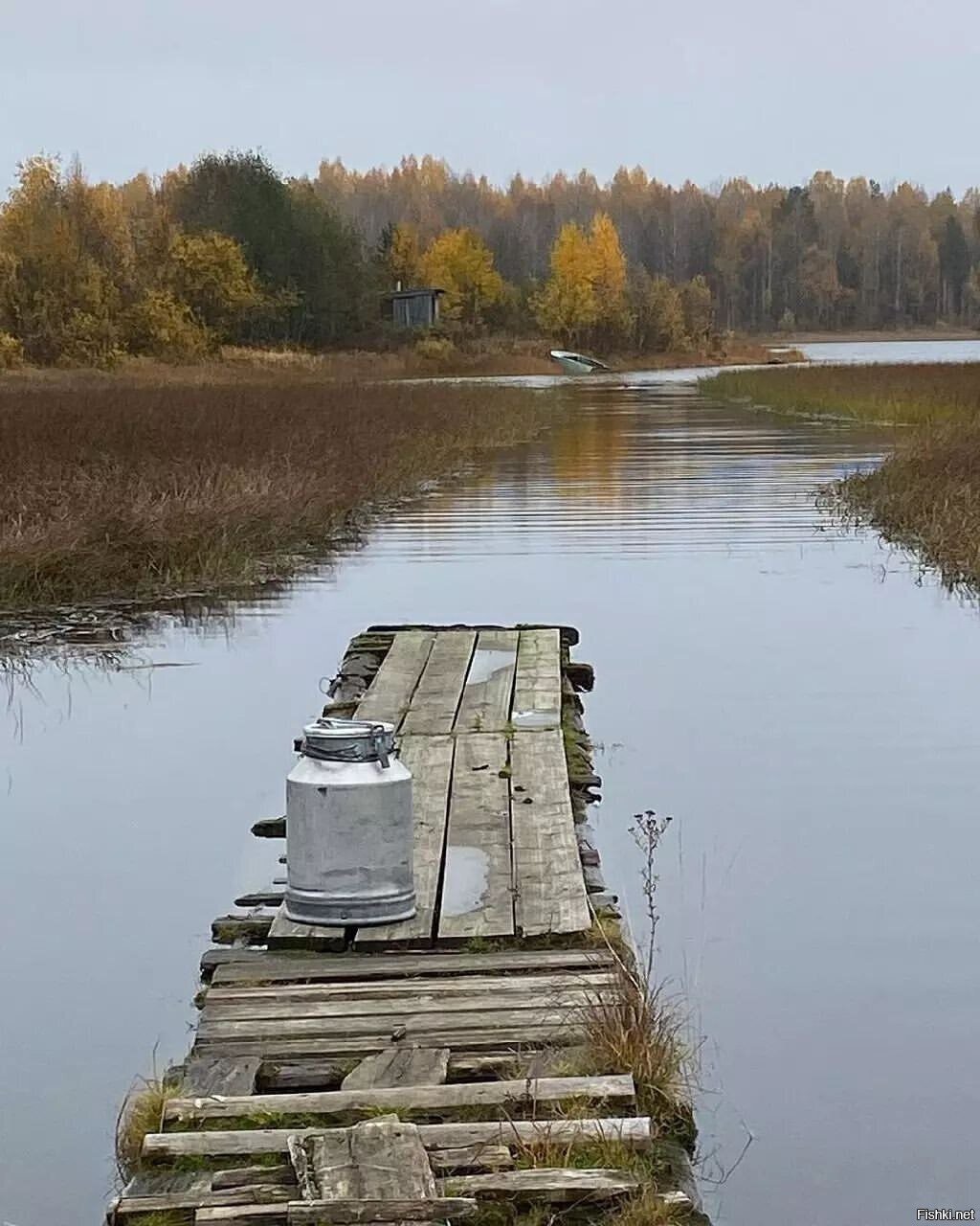 Солянка