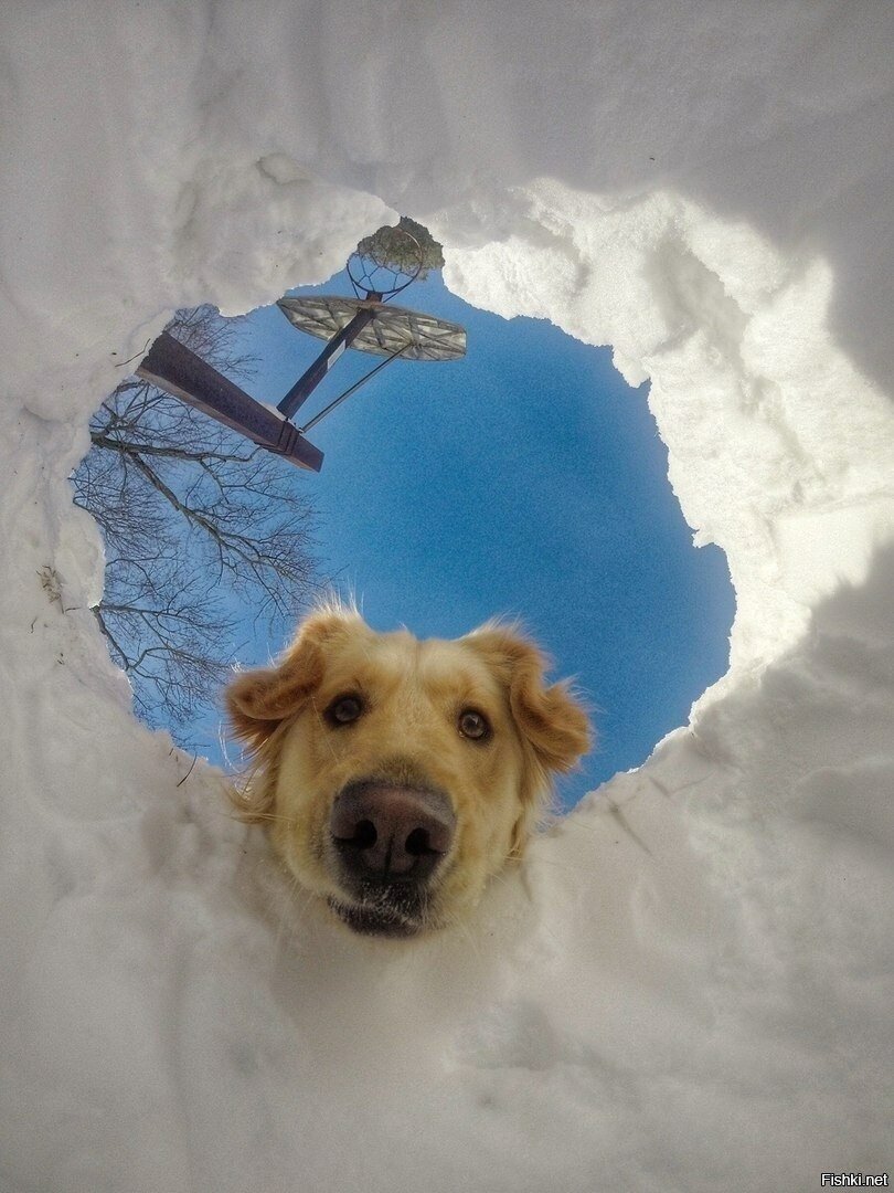- Ну шо, протрезвел