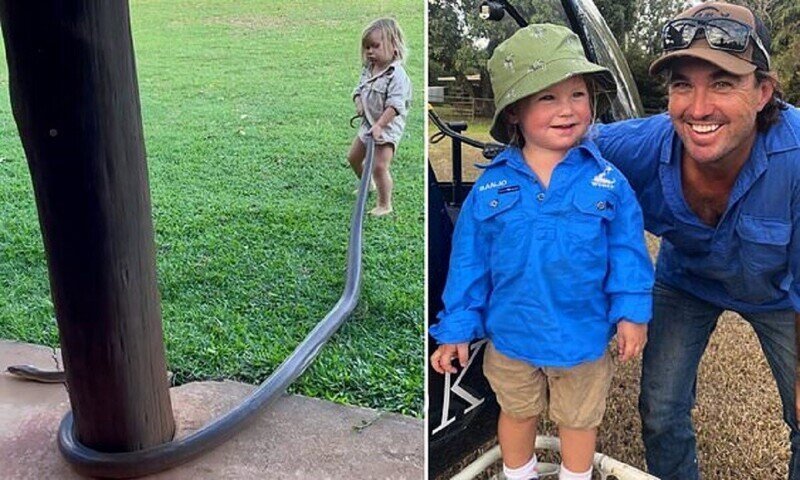 Охотник на крокодилов приучает сына к профессии