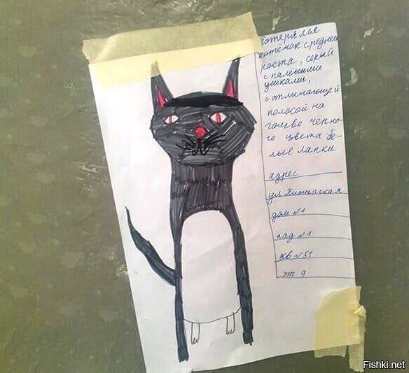 "Патирялса кот, отлечитильная полоса на галаве